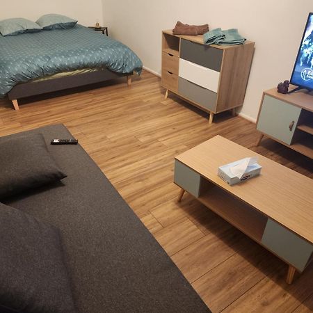 Apartament Plein Centre Malzéville Zewnętrze zdjęcie