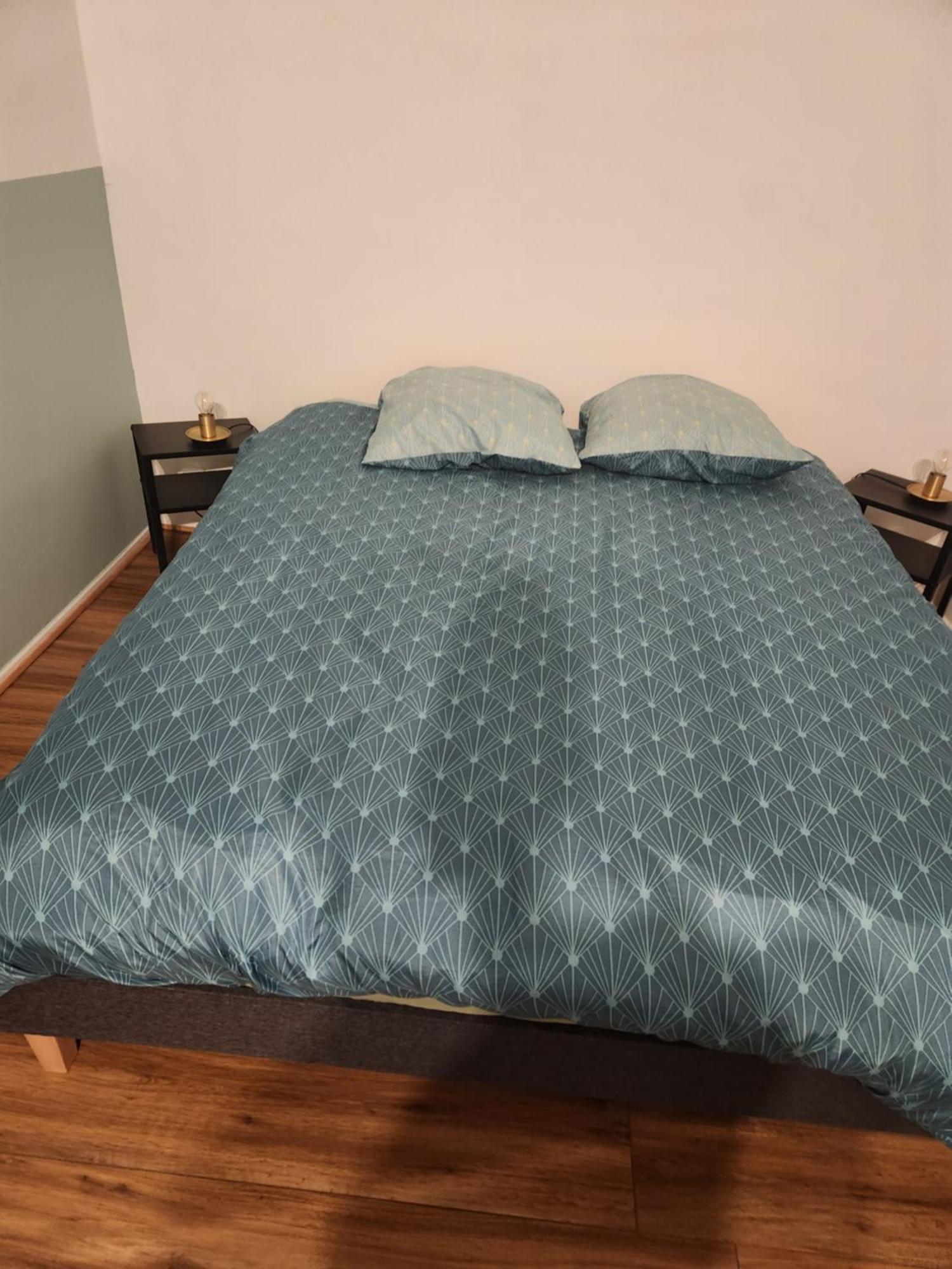 Apartament Plein Centre Malzéville Zewnętrze zdjęcie